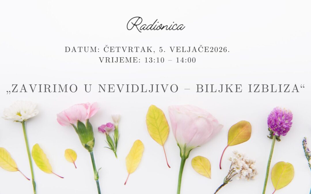 Radionica „Zavirimo u nevidljivo – biljke izbliza“