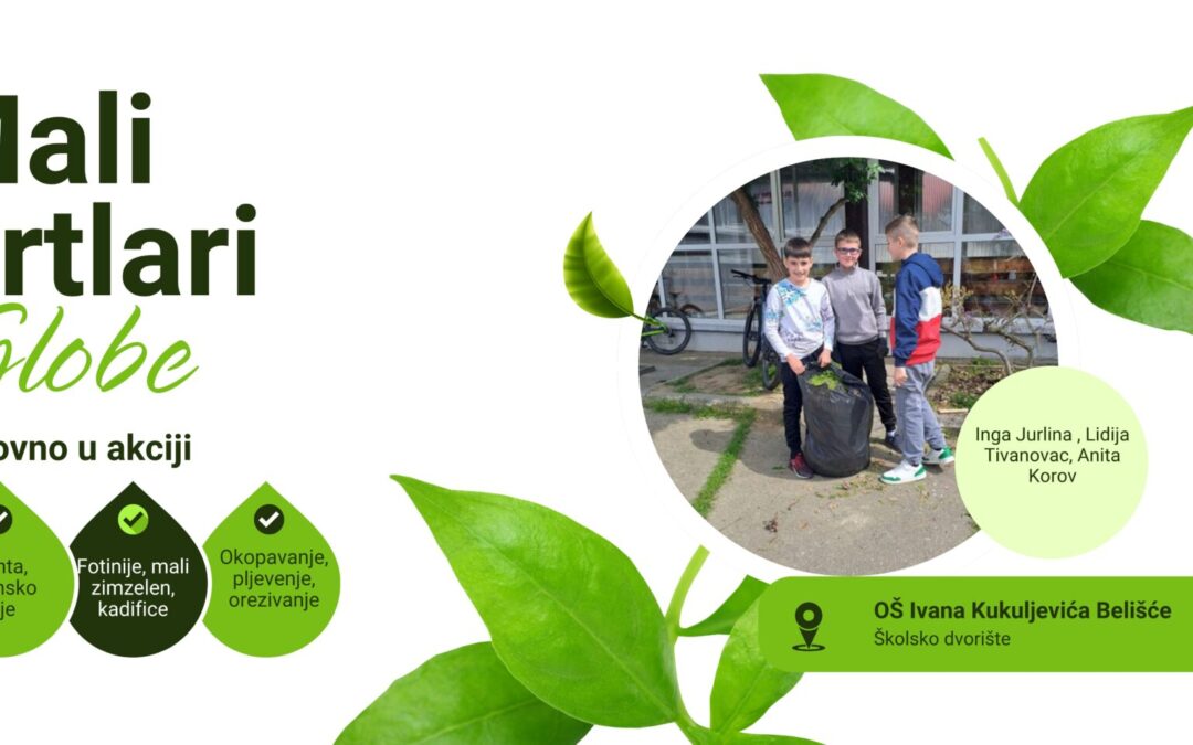 Mali vrtlari: Od mirisne lavande do uređenih gredica